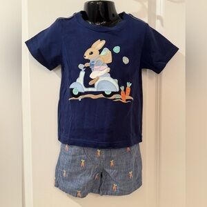 Gymboree Navy Blue Appliqué Tee Set with Bunny and Scooter Design
